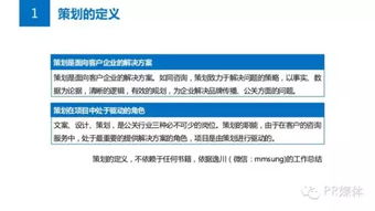公关必读 从问题到方案——项目策划与公关服务的全流程攻略